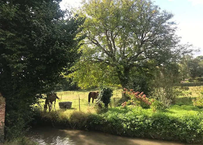 Maison Au Bord De Riviere , Proche De La Mer- Semi Rigide Plein Air En Option Hébergement de vacances *